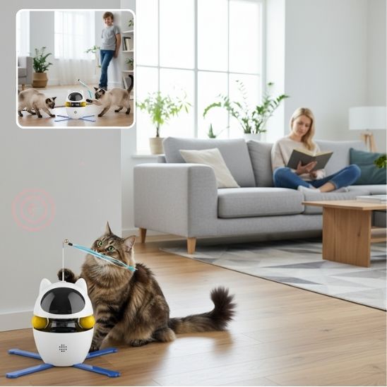 Laser pour chat 3 en 1