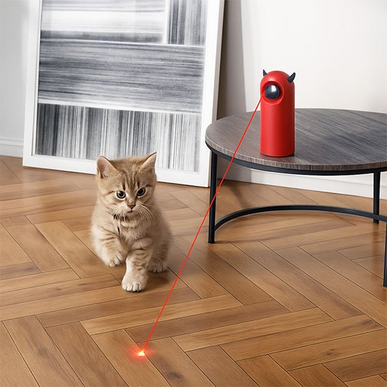 Laser pour chat | Point Ludique