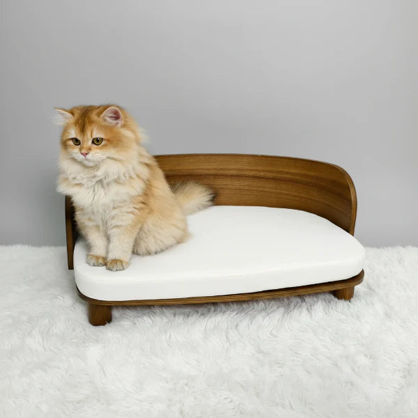 Chat assis sur un lit canapé en bois pour chat avec coussin gris dans un intérieur lumineux