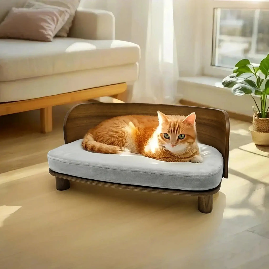 Lit Canapé Surélevé En Bois Pour Chat