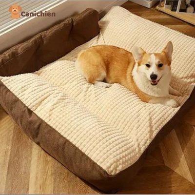 LIT CHIEN | RelaxiPet™