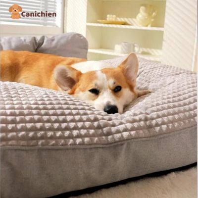 LIT CHIEN | RelaxiPet™
