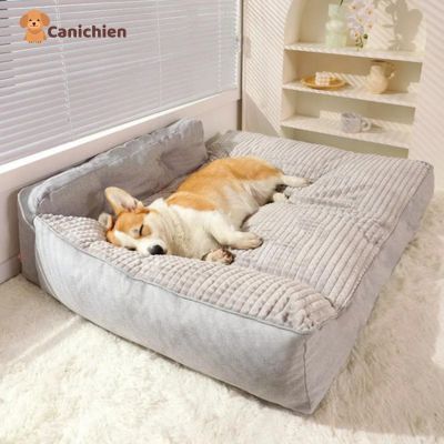 lit-chien-gris-confortable