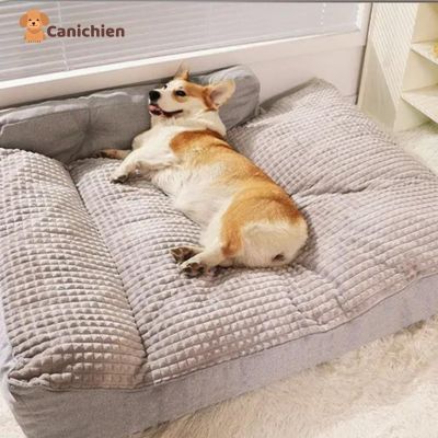 LIT CHIEN | RelaxiPet™