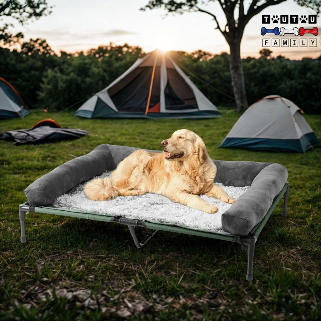Lit de camp chien - CampingToutou™