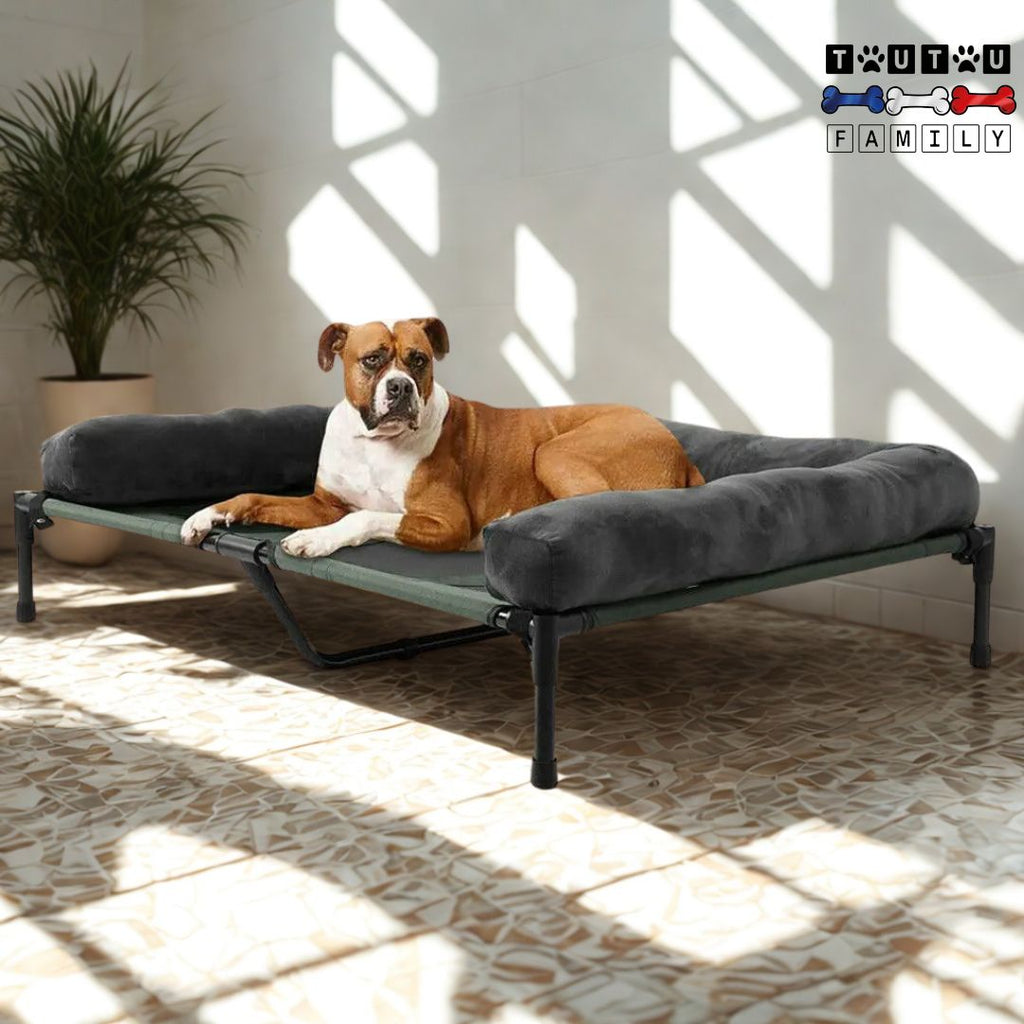 Lit de camp chien - CampingToutou™