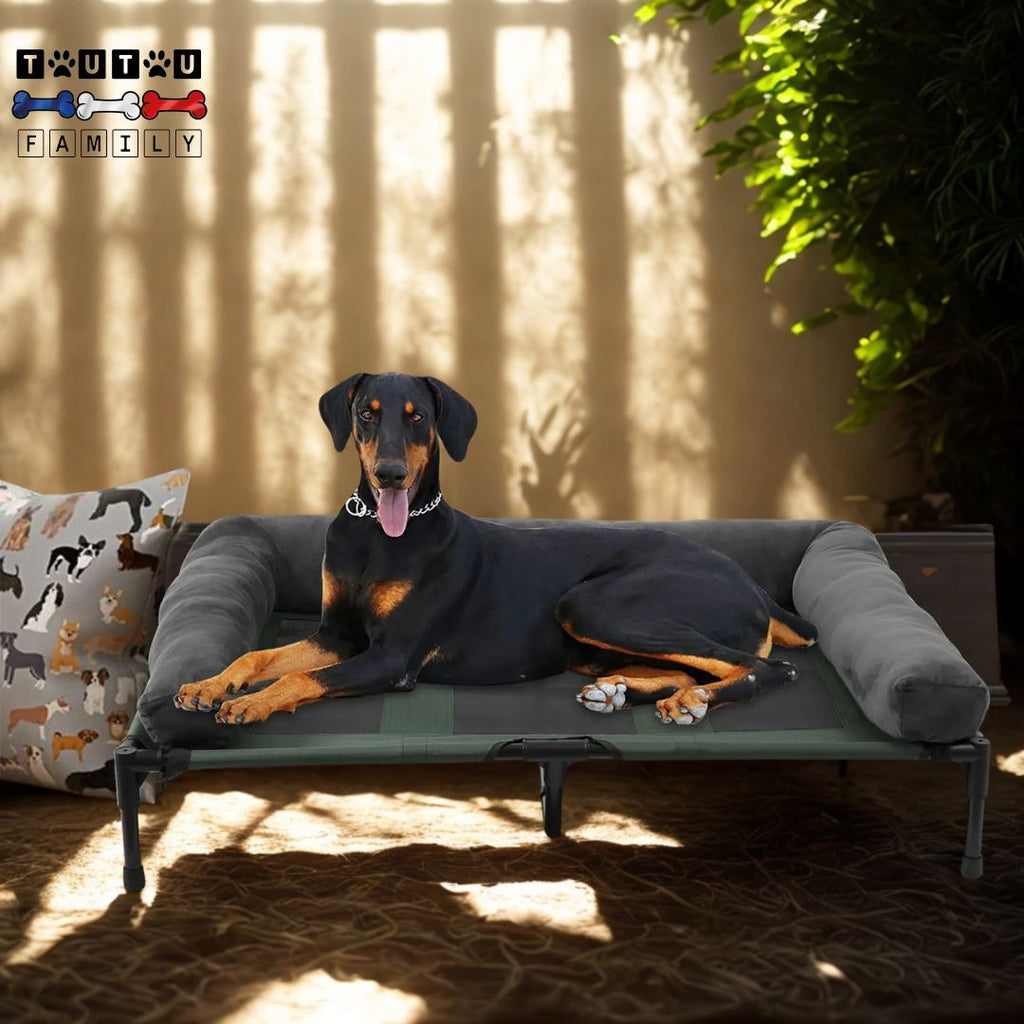 Lit de camp chien - CampingToutou™