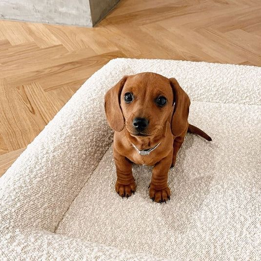 Lit  confortable pour chien  – coussin orthopédique en mousse mémoire