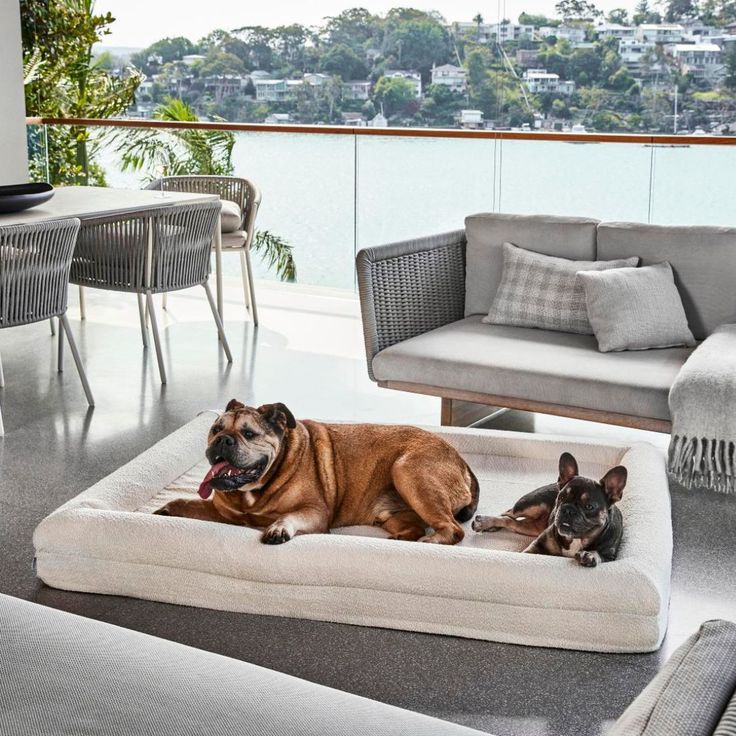 Lit  confortable pour chien  – coussin orthopédique en mousse mémoire