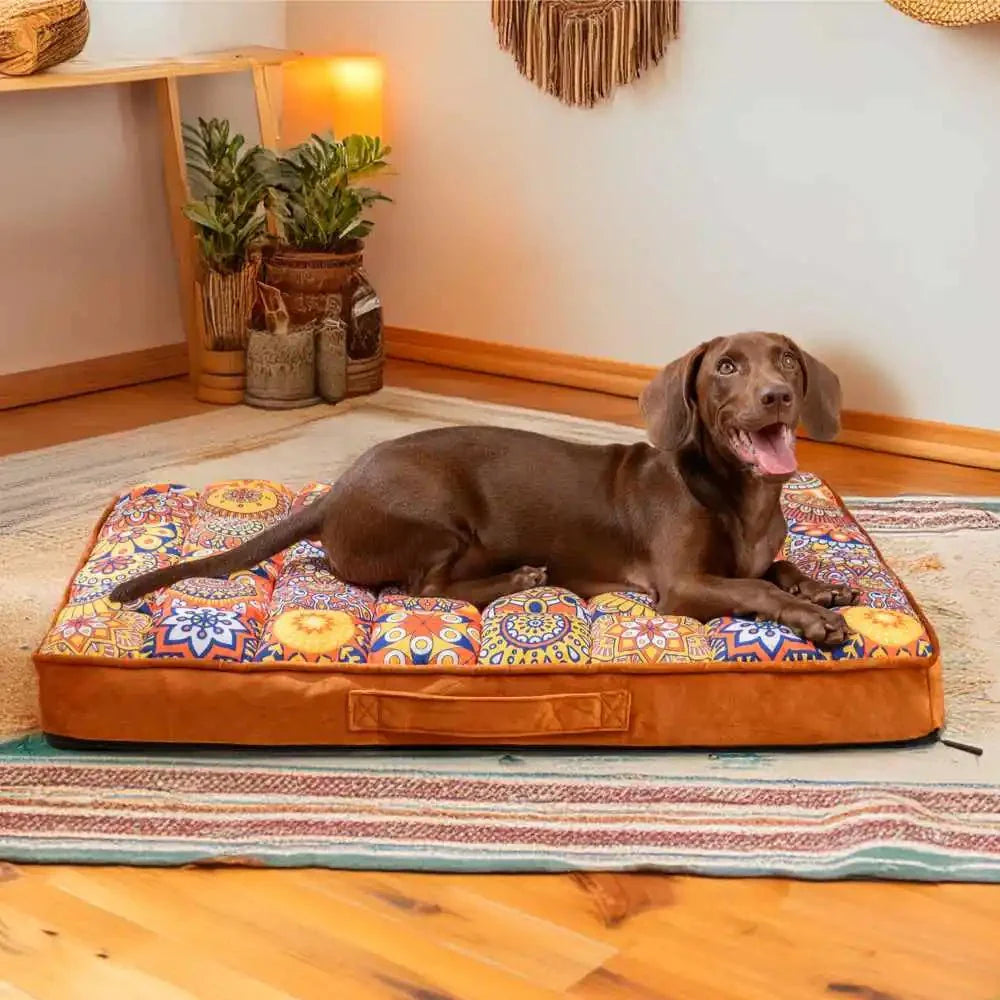 lit-orthopédique-chien-épais-matelassé-un chien de taille moyenne heureux et allongé sur le ventre confortablement sur le matelas haute résilience ergonomique au remplissage 100% coton à haut rebond, déhoussable et lavable en machine avec motif coloré et bohème dans le salon de la maison