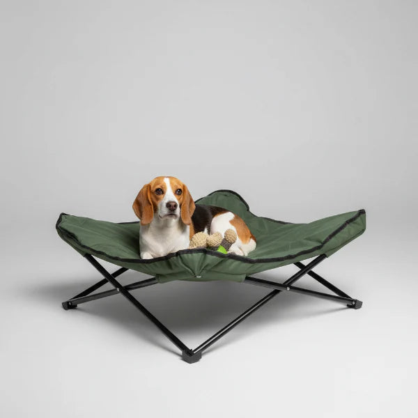 Lit Pliable Portable Imperméable Pour Chien
