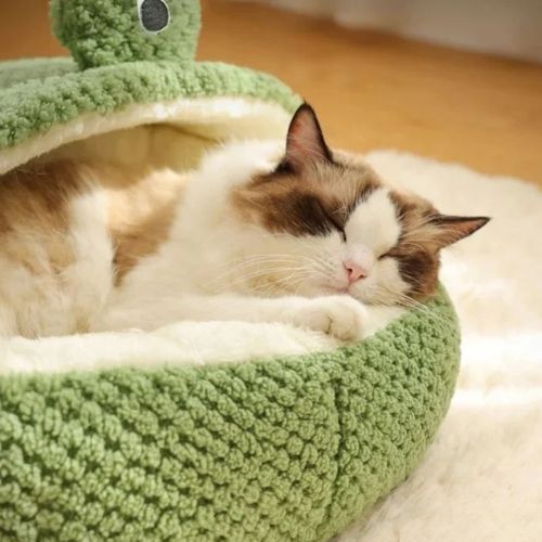 lit pour chat | BED FROG CAT