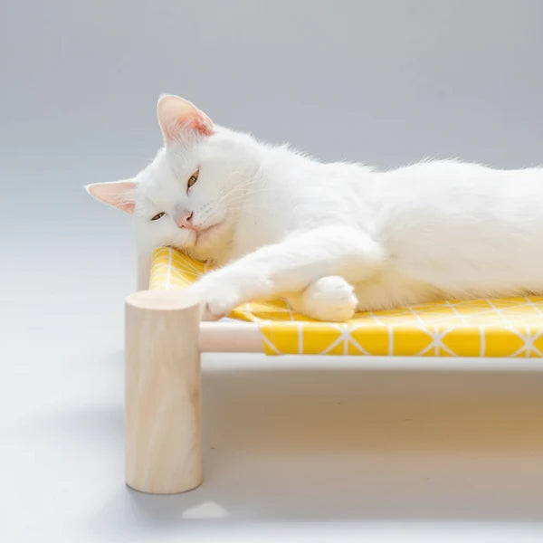 Lit Pour Chat En Bois Design Et Confortable