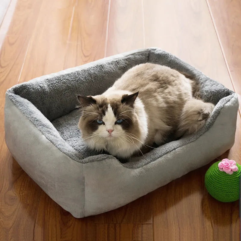 lit pour chat | LIT COSY