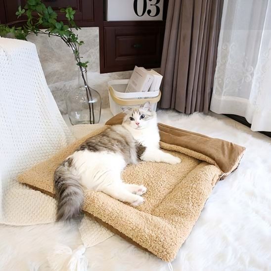 lit pour chat |MULTIDODO