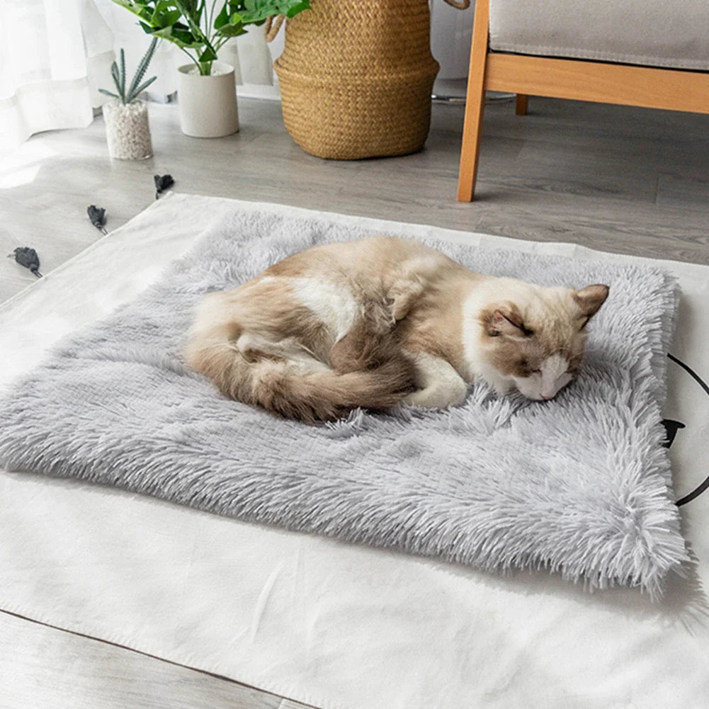 lit pour chat | DODO SOFT