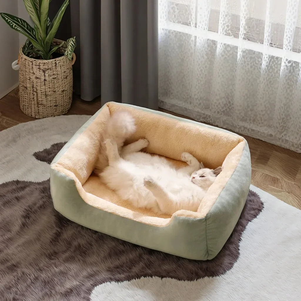 lit pour chat | LIT COSY