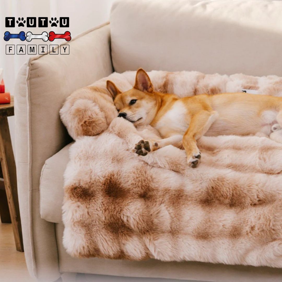 Lit pour-chien- CanapéToutou™