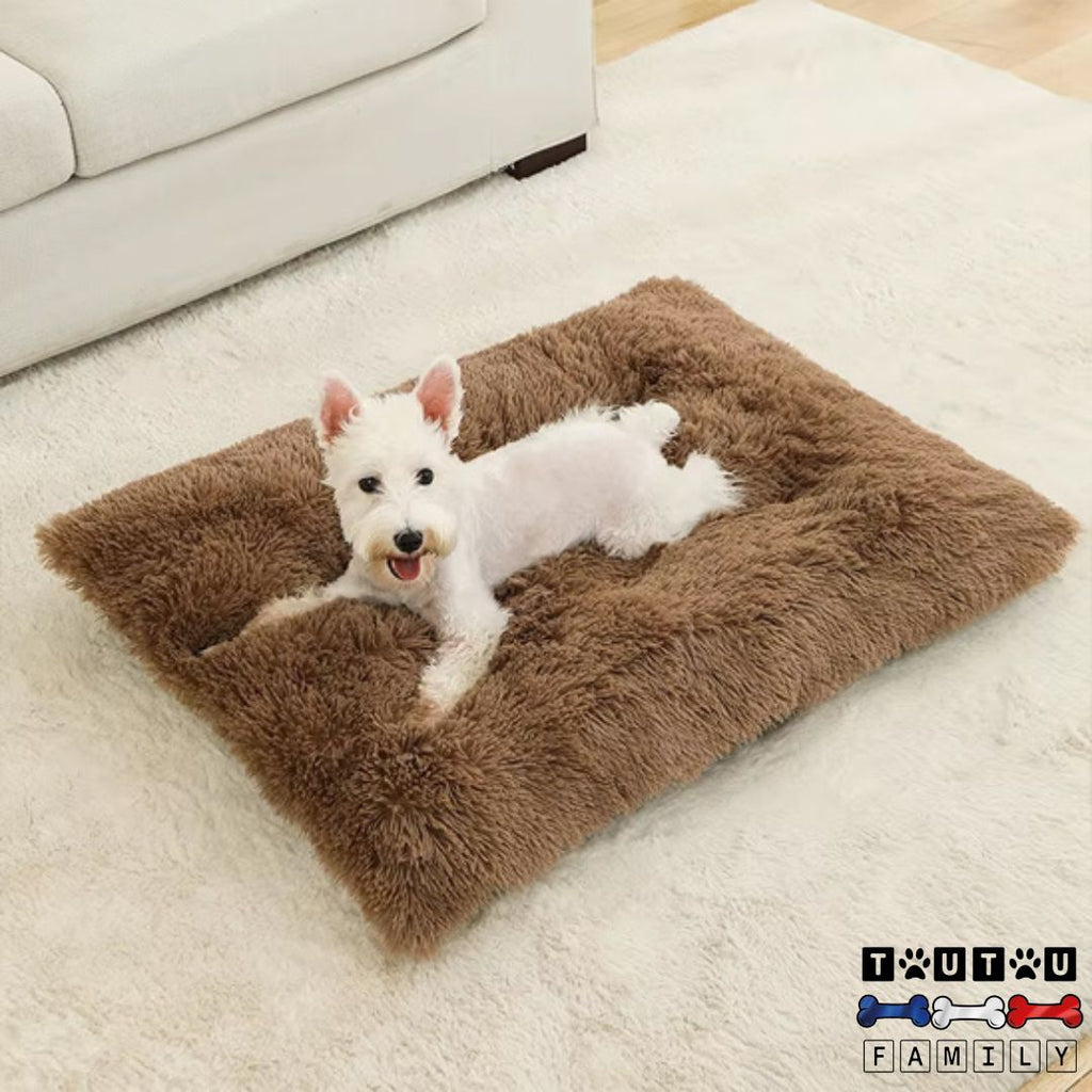 Lit pour chien - DouilletToutou™