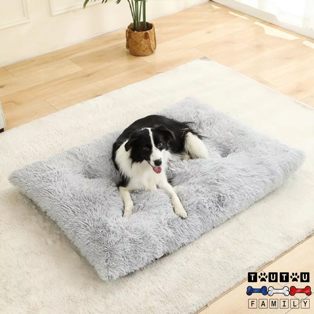 Lit pour chien - DouilletToutou™