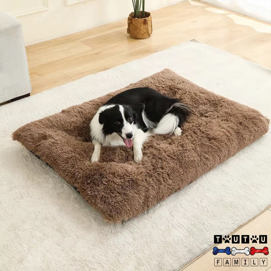 Lit pour chien - DouilletToutou™