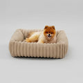 Petit chien assis confortablement dans un lit pour chien en velours beige dans un salon lumineux