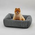 Lit pour chien en velours gris avec chien assis confortablement dans un intérieur moderne