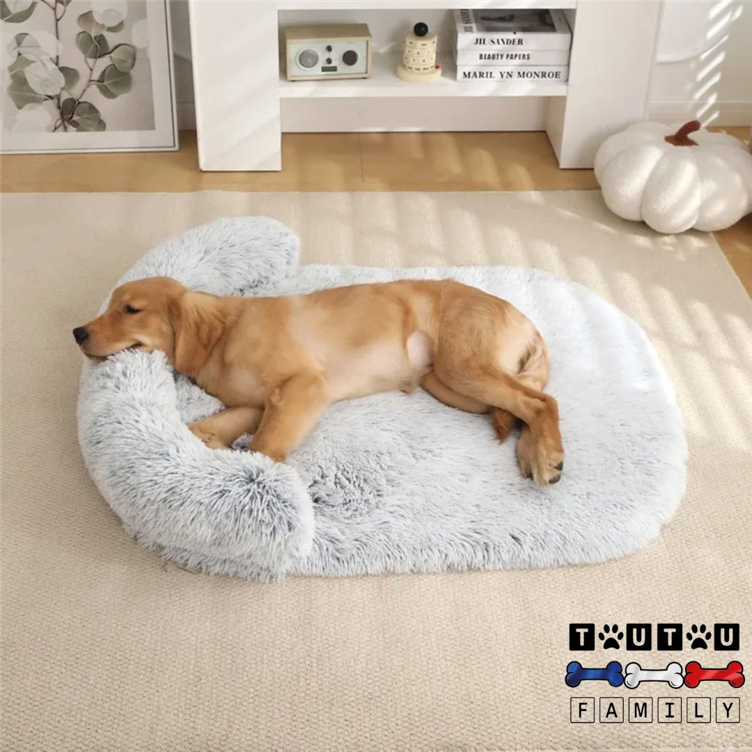 Lit pour chien - ErgonomiqueToutou™