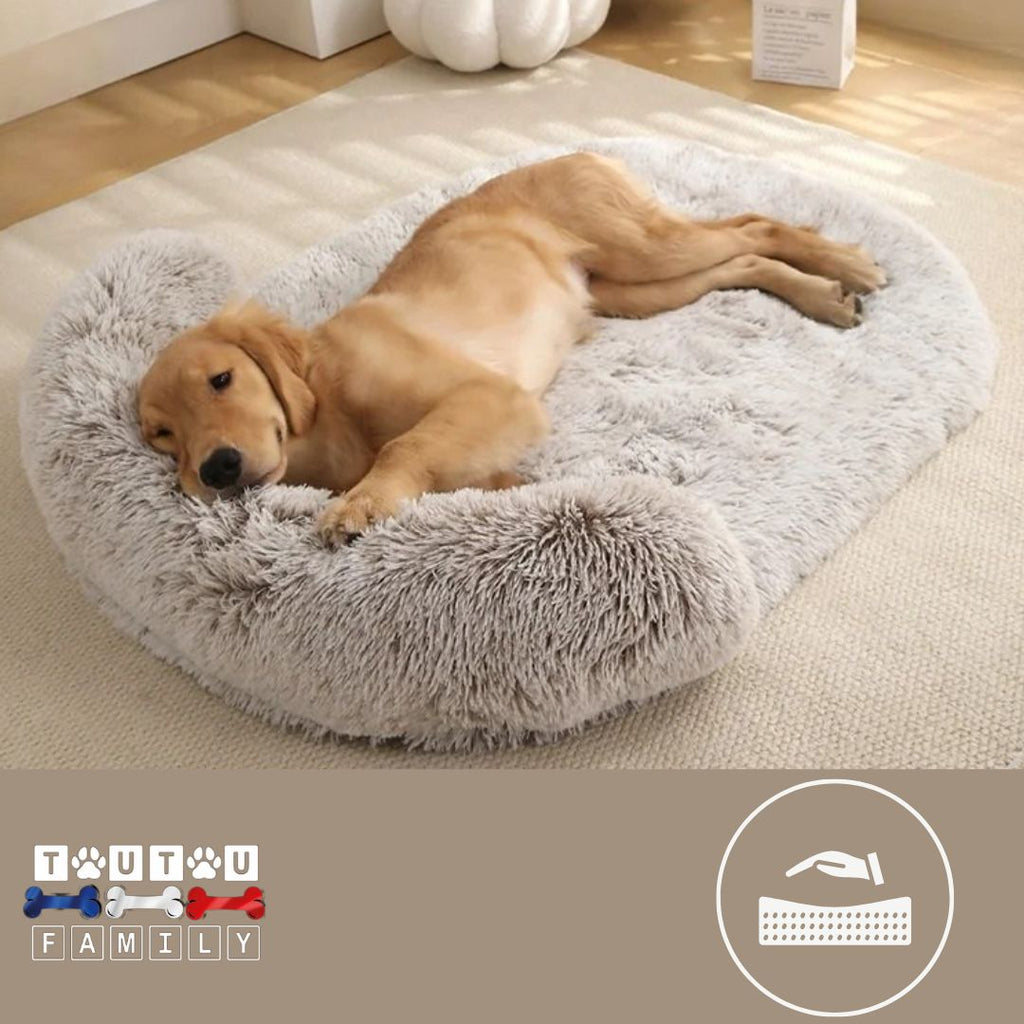 Lit pour chien - ErgonomiqueToutou™