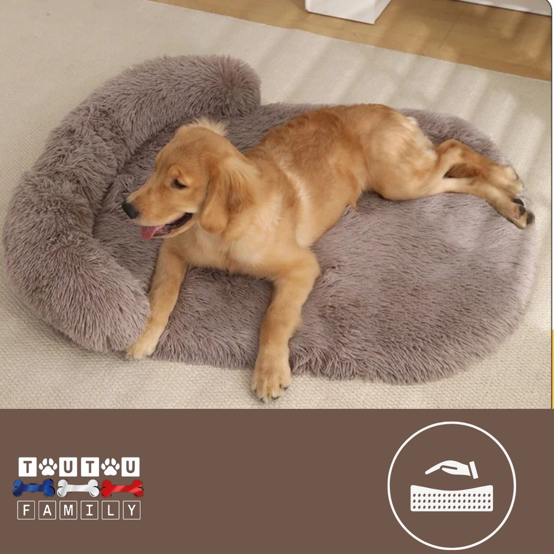 Lit pour chien - ErgonomiqueToutou™