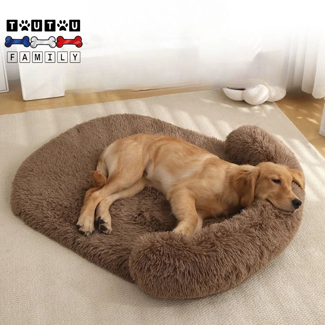 Lit pour chien - ErgonomiqueToutou™