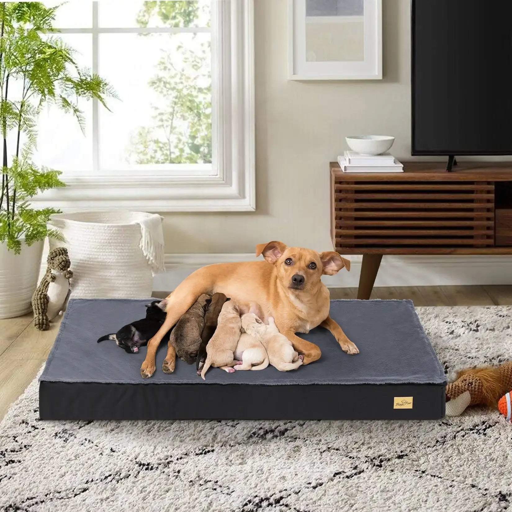 Lit Mousse A Mémoire De Forme Imperméable Et Lavable Pour Chien