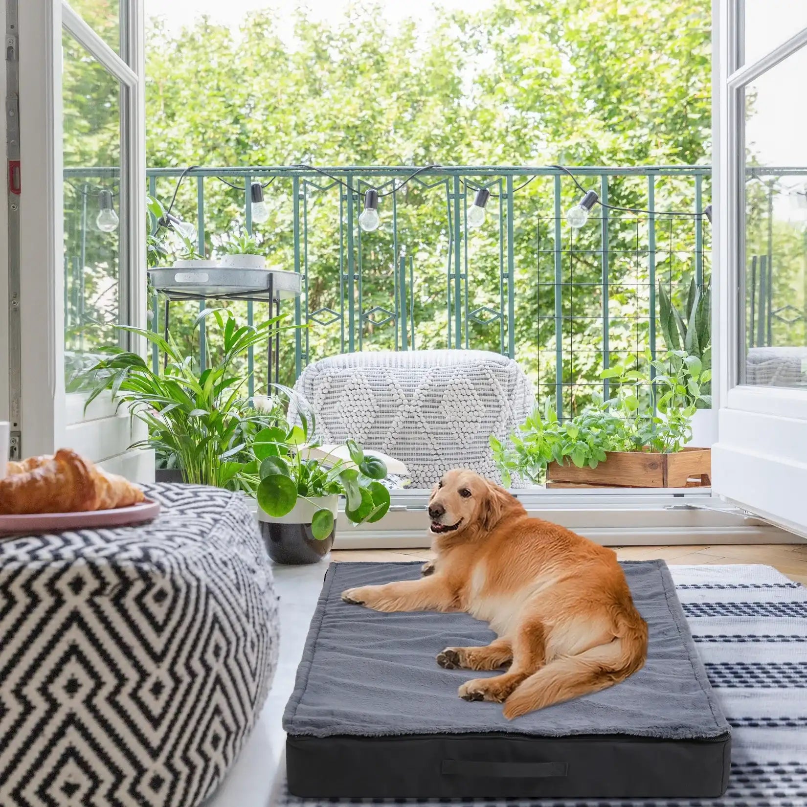 Lit Mousse A Mémoire De Forme Imperméable Et Lavable Pour Chien