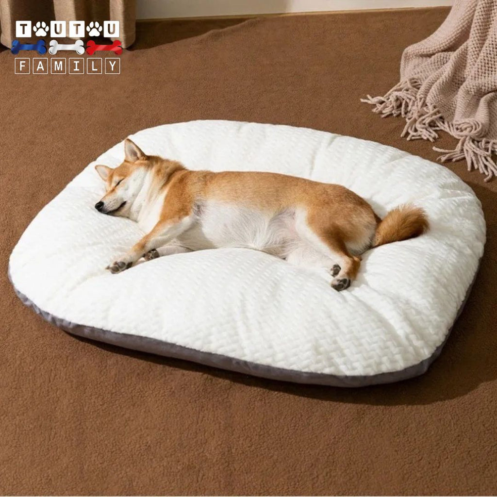 Lit pour chien - MoelleuxToutou™