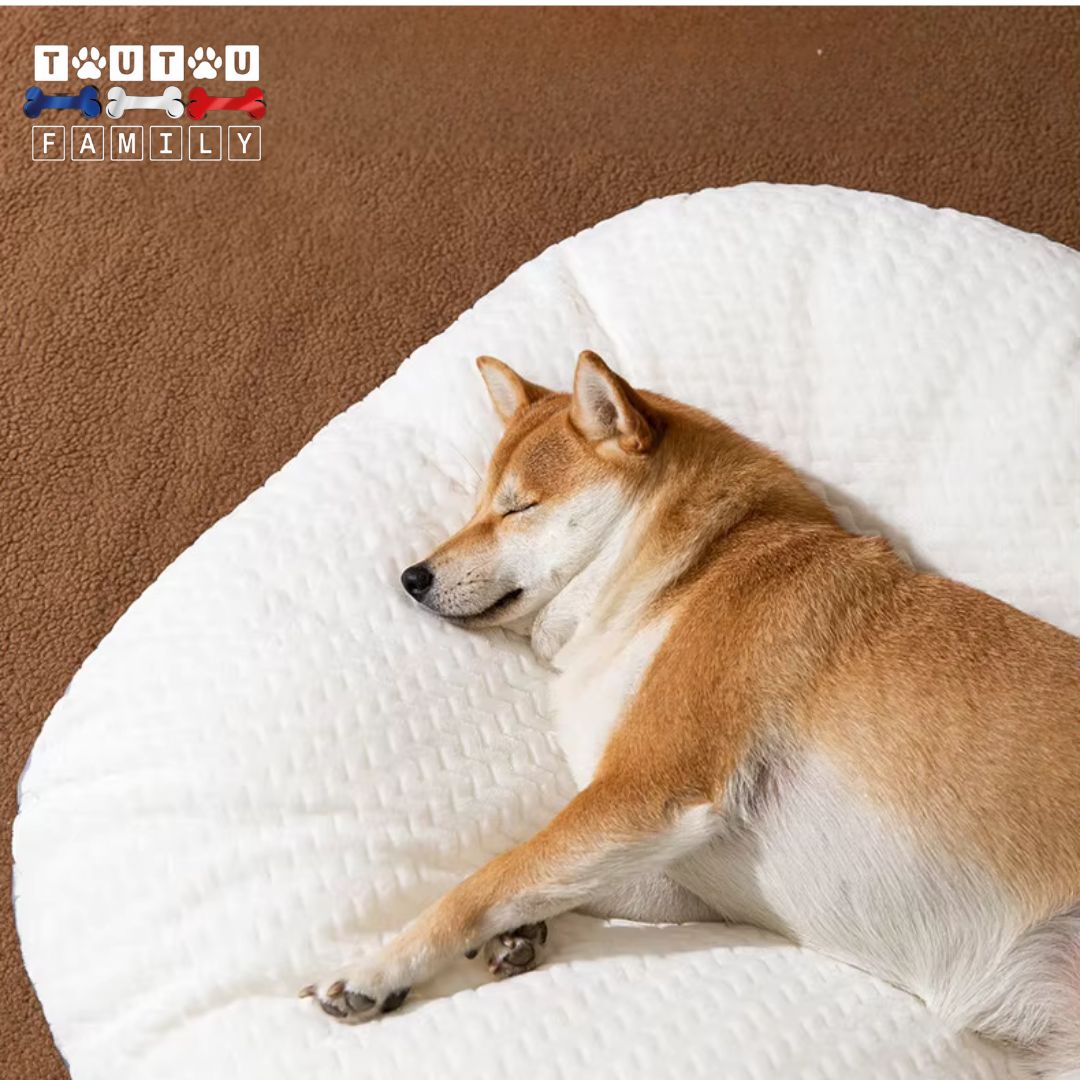 Lit pour chien - MoelleuxToutou™
