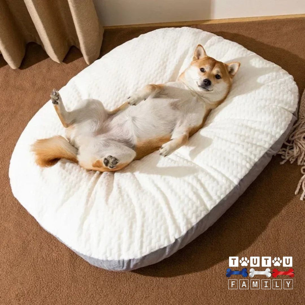 Lit pour chien - MoelleuxToutou™