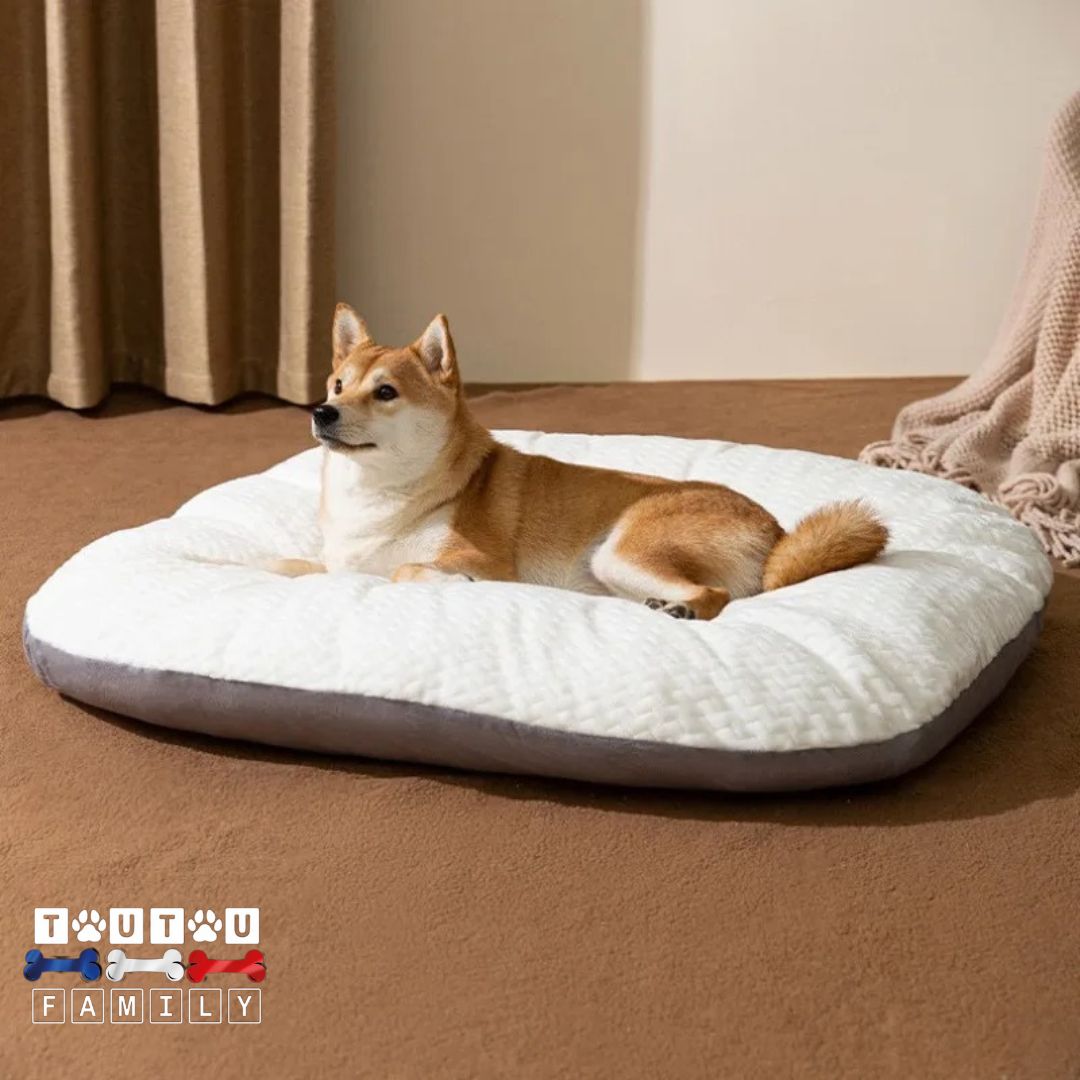 Lit pour chien - MoelleuxToutou™