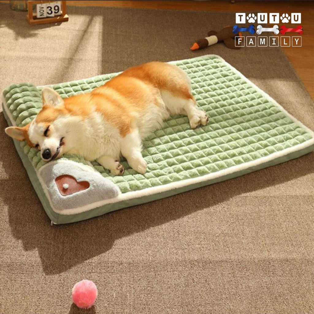 Lit pour chien orthopédique -DéhoussableToutou™