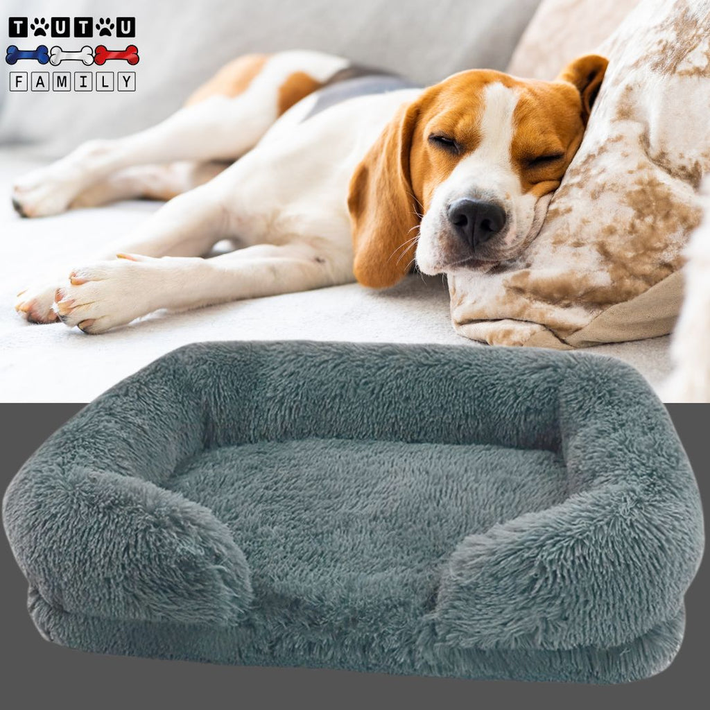 lit-orthopedique-pour-chien-gris-un-beagle-qui-dort