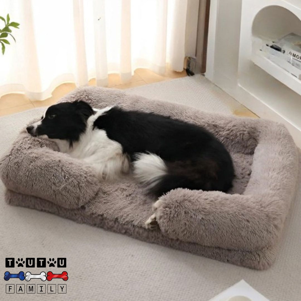 Lit pour chien orthopédique - RépareToutou™