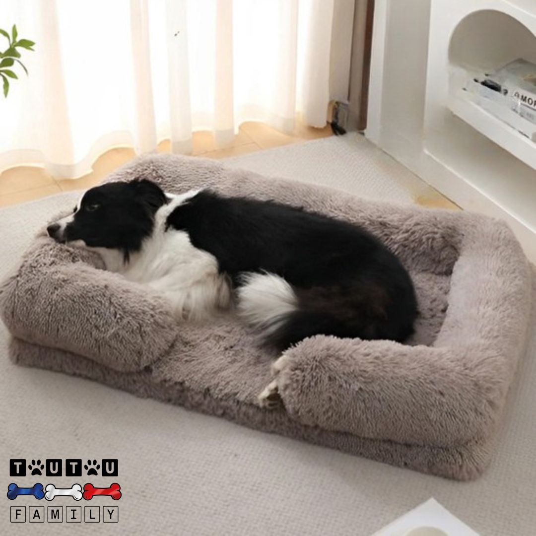 Lit pour chien orthopédique - RépareToutou™