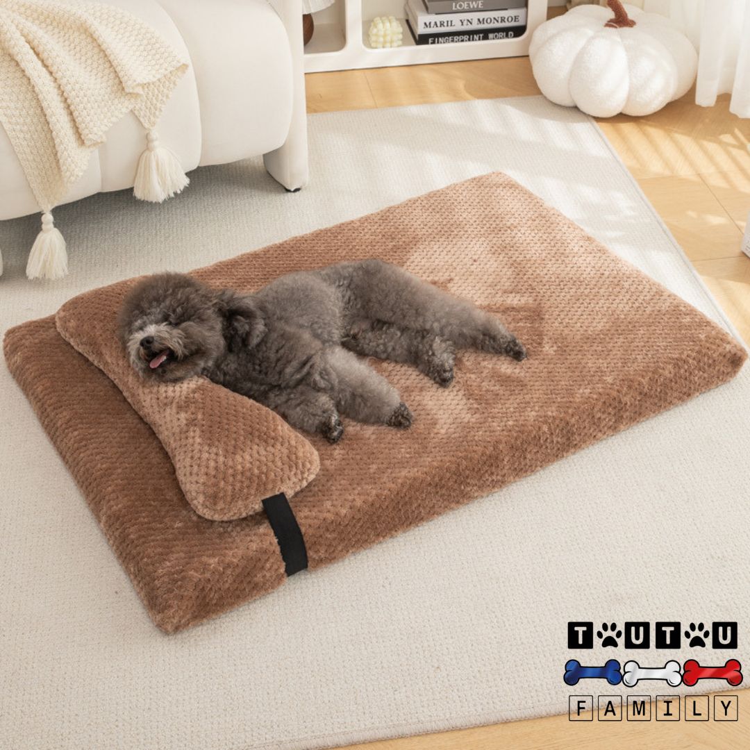 Lit pour chien - OrthopédiqueToutou™