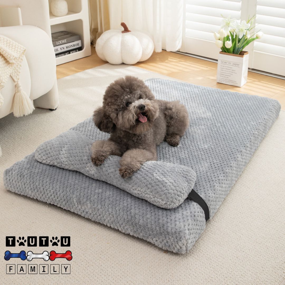 Lit pour chien - OrthopédiqueToutou™