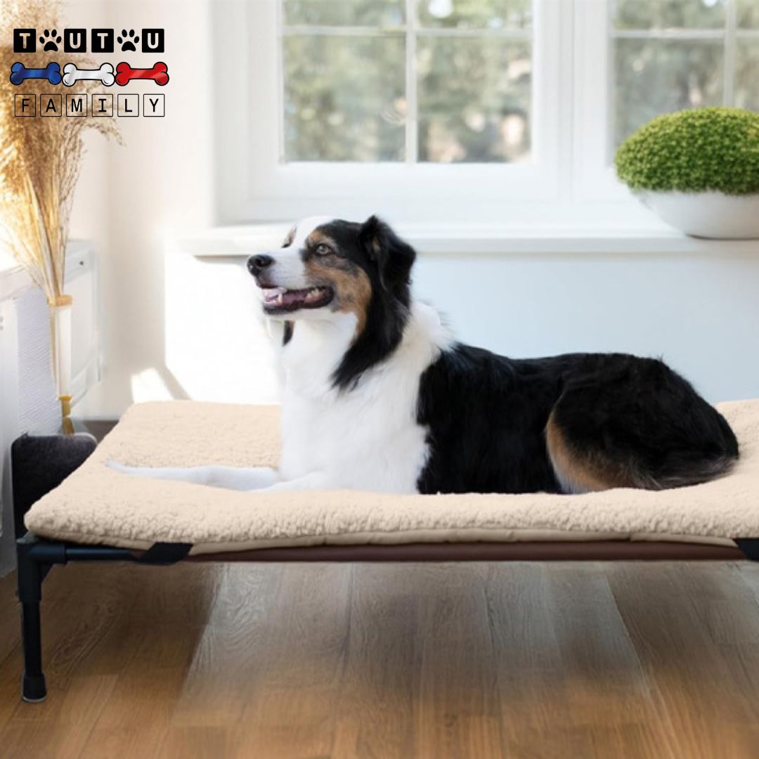 Lit pour chien surélevé - CampToutou™