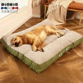 Lit-pour-chien-xxl-déhoussable-pliable, transportable, indéformable, lavable en machine et imperméable, résistant et doux un golden qui dort paisiblement dans son grand lit rembourré 100% coton dans son salon