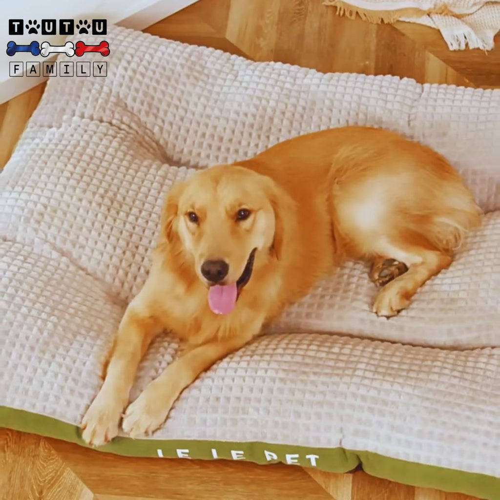 Lit pour chien xxl - DéhoussableToutou™