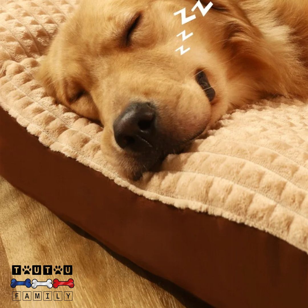 Lit pour chien xxl - DéhoussableToutou™