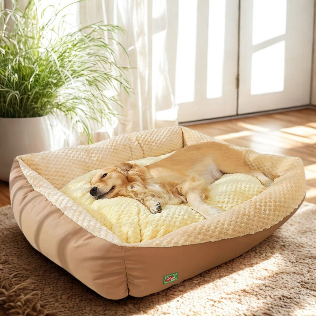 lit-pour-chien-xxl-panier-grand-chien-et-très grande race-races géantes-un grand chien qui dort dans le moelleux d lit épais et rembourré entourant et sécurisant 100% coton haute densité dans son salon 