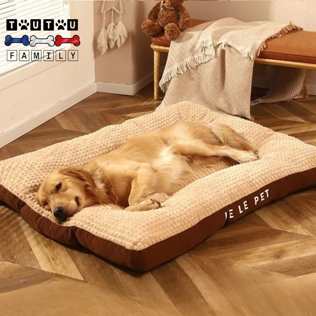 Lit pour chien - XXLToutou™