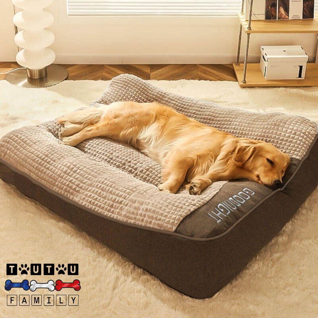 Lit pour chien - XXLToutou™